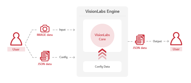 Visionlabs architecture